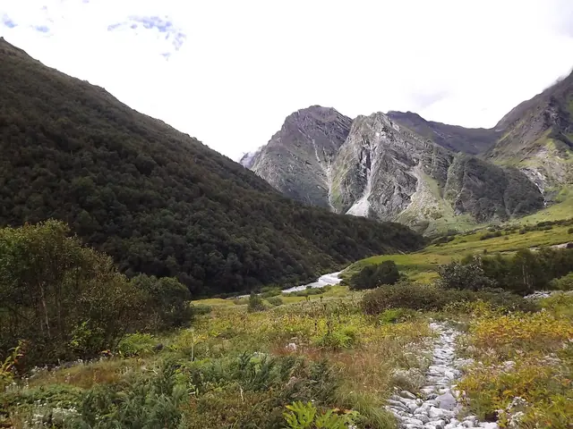 A footpath through the upper meadows towards a waterfall