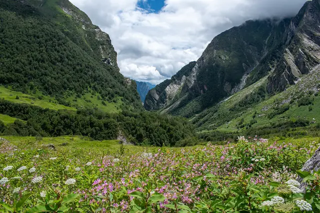 Flower meadows stretching to the head of the valley