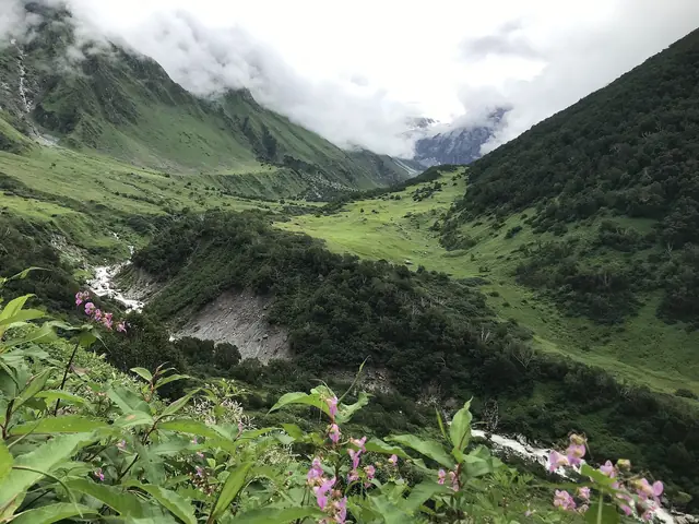 Looking down the valley from the trail, with the Pushpawati below
