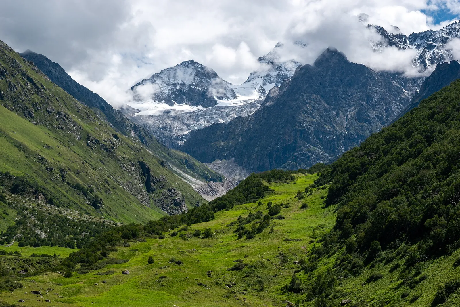 The valley in full summer green