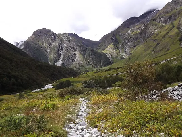 A trail of white stones through the upper meadow