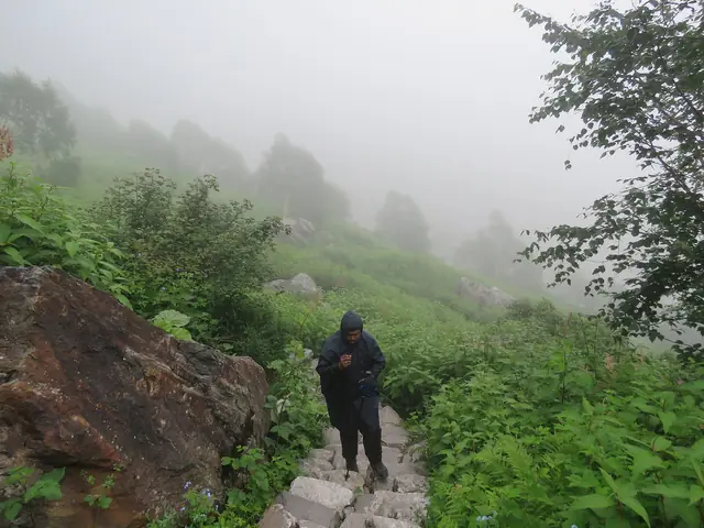 A trekker in rain gear on the stone path