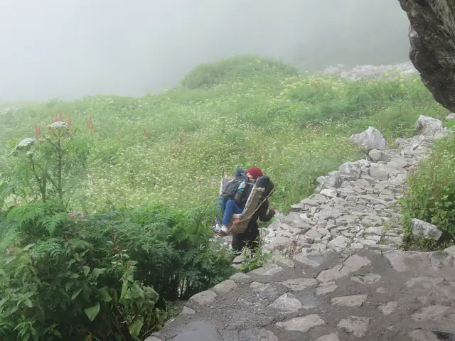Porters on the stone path through the meadow