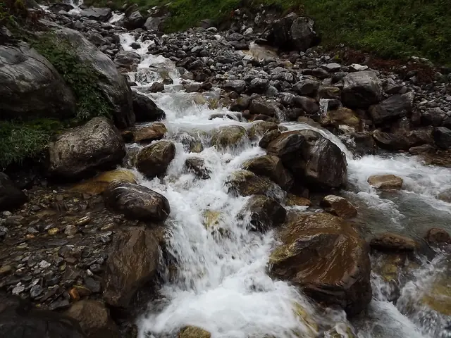 A boulder stream falling through the meadows